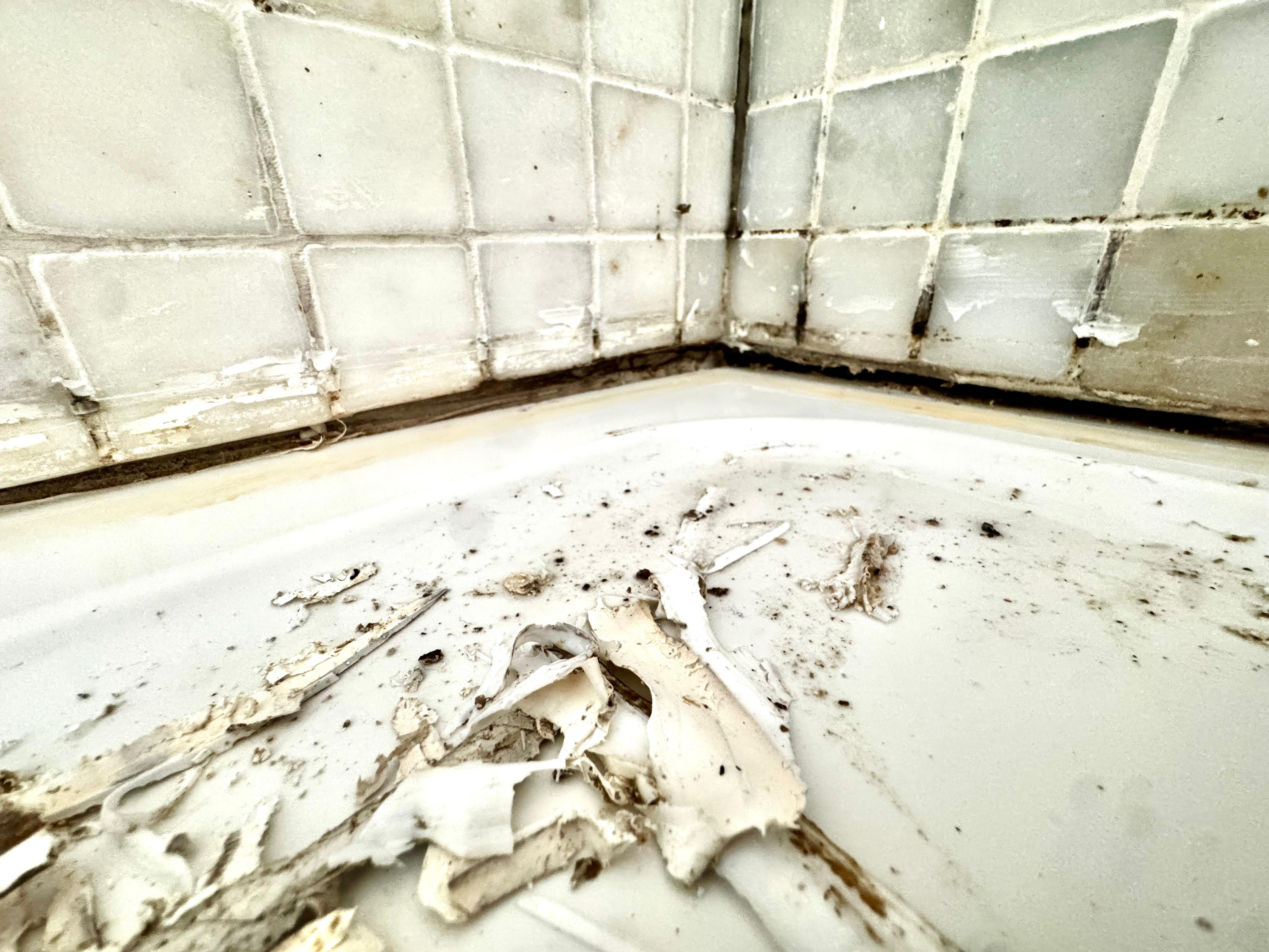Sillicone Sealant Application2 Bristol