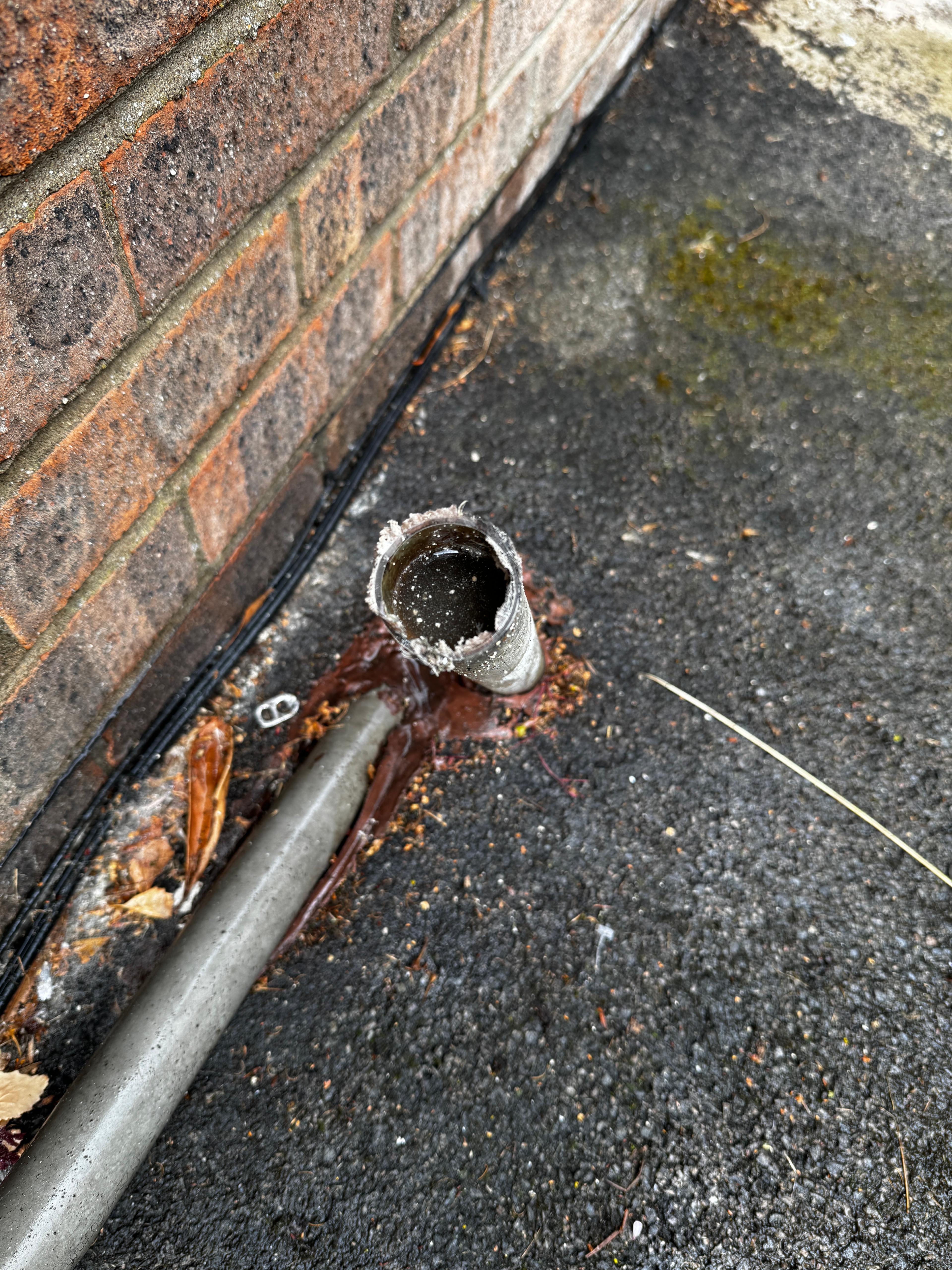 Sink hose replacement3 Bristol